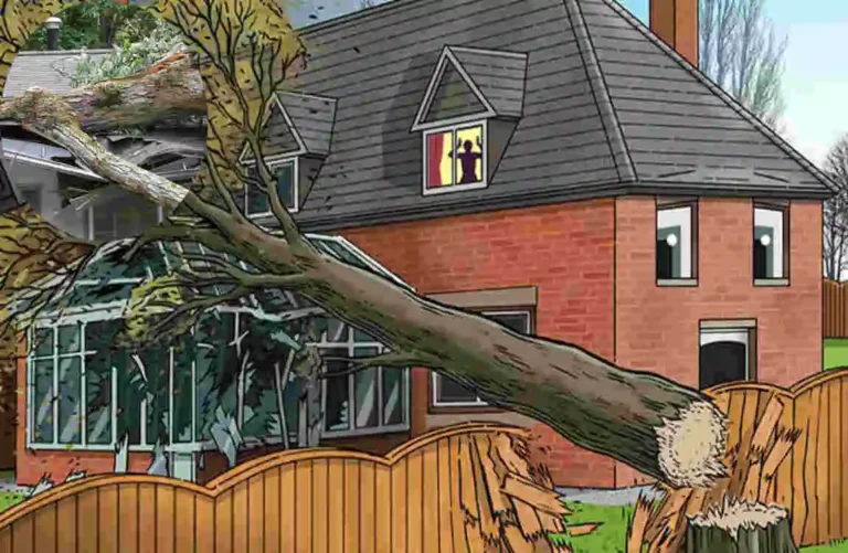are you responsible if your tree falls on neighbor's house