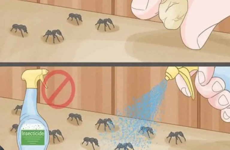 are house ants dangerous